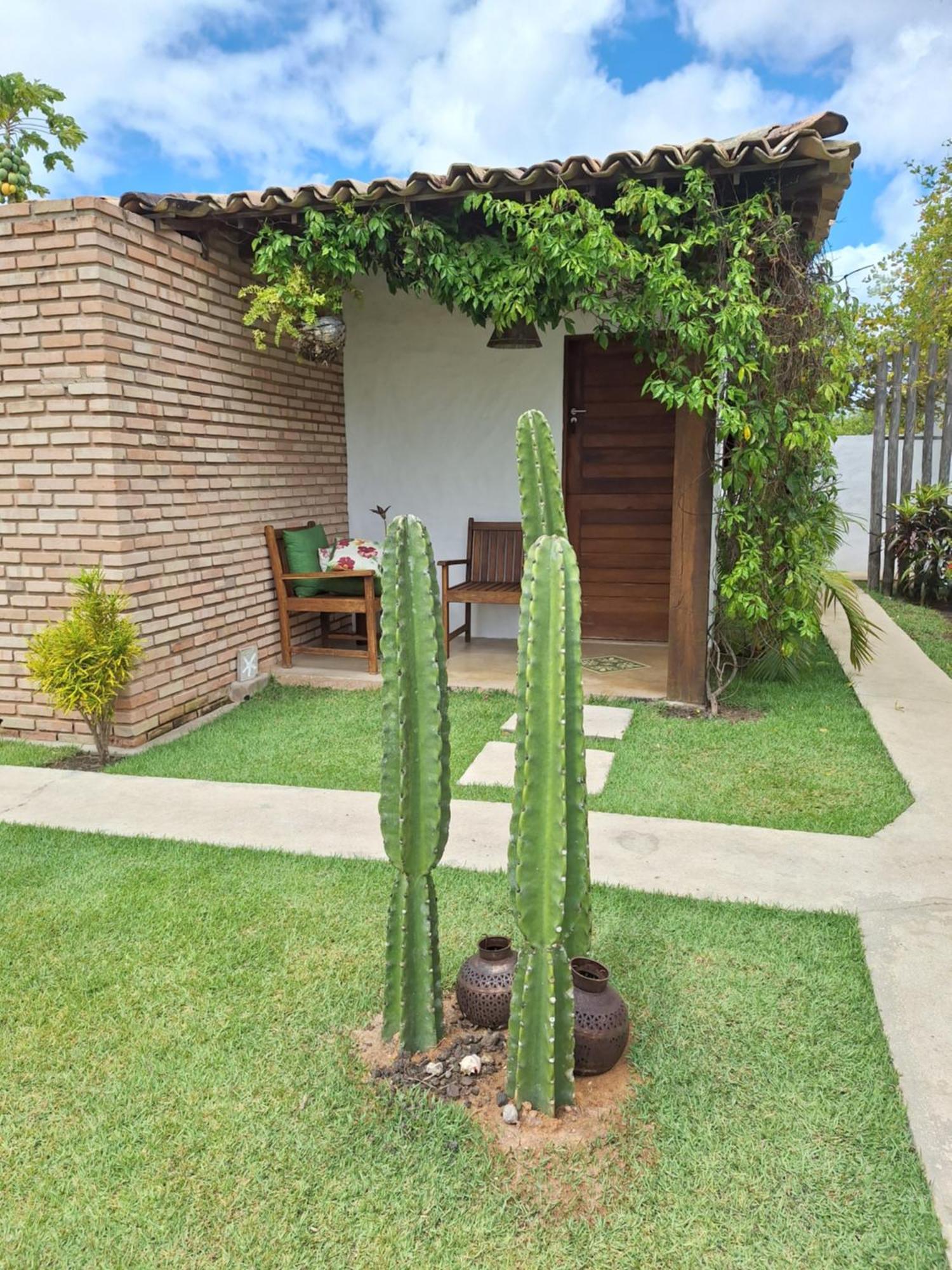 Arataba Hotel Boutique E Bistro - 150 Mts Do Mar Pôrto de Pedras Exterior foto